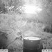 Hanke's Hunts Kansas Game Camera Photo