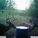 Hanke's Hunts Kansas Game Camera Photo