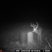 Hanke's Hunts Kansas Game Camera Photo