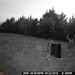 Hanke's Hunts Kansas Game Camera Photo