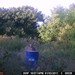 Hanke's Hunts Kansas Game Camera Photo