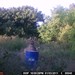 Hanke's Hunts Kansas Game Camera Photo