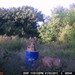 Hanke's Hunts Kansas Game Camera Photo