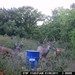 Hanke's Hunts Kansas Game Camera Photo