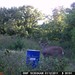 Hanke's Hunts Kansas Game Camera Photo