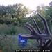 Hanke's Hunts Kansas Game Camera Photo