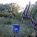 Hanke's Hunts Kansas Game Camera Photo