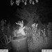 Hanke's Hunts Kansas Game Camera Photo