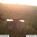 Hanke's Hunts Kansas Game Camera Photo