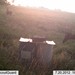 Hanke's Hunts Kansas Game Camera Photo