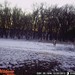 Hanke's Hunts Kansas Game Camera Photo
