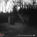 Hanke's Hunts Kansas Game Camera Photo