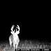Hanke's Hunts Kansas Game Camera Photo