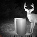 Hanke's Hunts Kansas Game Camera Photo