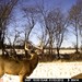 Hanke's Hunts Kansas Game Camera Photo