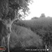 Hanke's Hunts Kansas Game Camera Photo