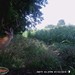 Hanke's Hunts Kansas Game Camera Photo