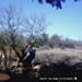 Hanke's Hunts Kansas Game Camera Photo
