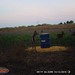 Hanke's Hunts Kansas Game Camera Photo
