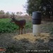 Hanke's Hunts Kansas Game Camera Photo
