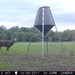 Hanke's Hunts Kansas Game Camera Photo