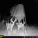 Hanke's Hunts Kansas Game Camera Photo